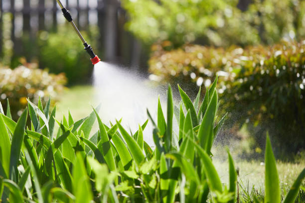 24/7 Emergency Mosquito Control experts in North Salt Lake, UT