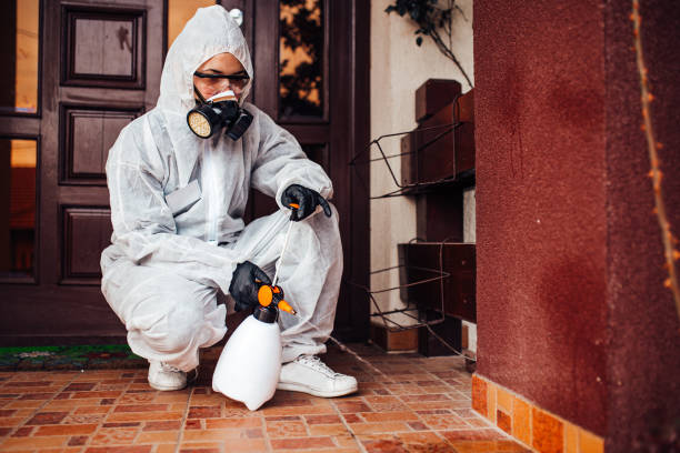 Reliable Mosquito Control contractor in North Salt Lake, UT by Nex Pest Control